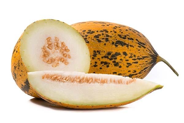 Kavun Kırkağaç