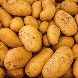 Patates