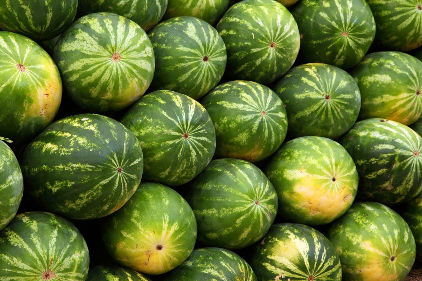 Karpuz